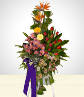 - Arreglo de Condolencias con Gerberas en Tr�pode