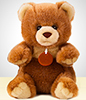 Medium Size Cuddly Bear