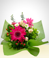 - Bouquet de Gerberas