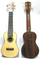 Professional Ukulele - Jacaranda wood