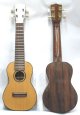 Professional Ukulele - Jacaranda wood.  Soundboard: Oregon Pine