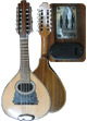 ElectroAcoustic Professional Mandolin - Nogal wood