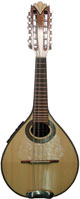 Professional Electroacustic Mandolin