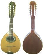 Professional Mandolin - Jacaranda wood
